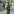 Profile photo of Bagus Gowes