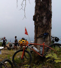 Surly