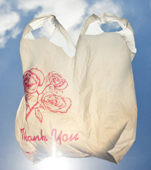 Tas Kresek - theenvironmentalblog