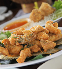 Protein Ikan